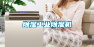 除湿工业除湿机