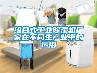 企业新闻组合式工业除湿机厂家在不同生产业中的运用