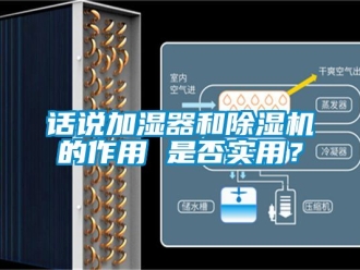 行业新闻话说加湿器和除湿机的作用 是否实用？