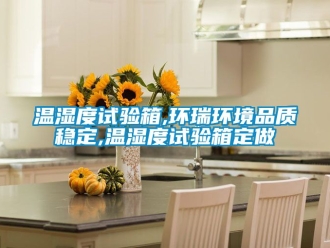 企业新闻温湿度试验箱,环瑞环境品质稳定,温湿度试验箱定做