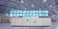 立式高低温试验箱可程式智能高精度耐久恒温恒湿试验箱