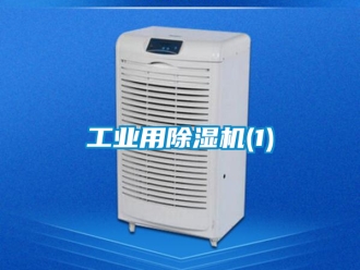 常见问题工业用除湿机(1)