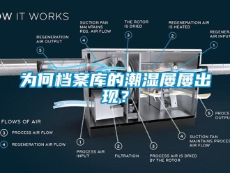知识百科为何档案库的潮湿屡屡出现？