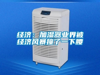 行业新闻经济：加湿器业界被经济风暴撞了一下腰