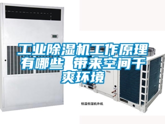 常见问题工业除湿机工作原理有哪些 带来空间干爽环境