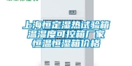 上海恒定湿热试验箱 温湿度可控箱厂家 恒温恒湿箱价格