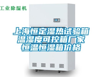 知识百科上海恒定湿热试验箱 温湿度可控箱厂家 恒温恒湿箱价格