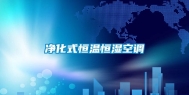 净化式恒温恒湿空调