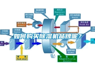 企业新闻如何购买除湿机品牌呢？