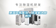 潮湿闷热难当，除湿机为你解忧