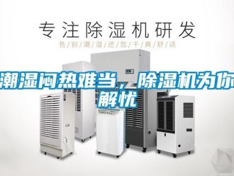 企业新闻潮湿闷热难当，除湿机为你解忧