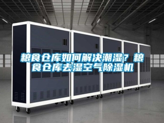 企业新闻粮食仓库如何解决潮湿？粮食仓库去湿空气除湿机