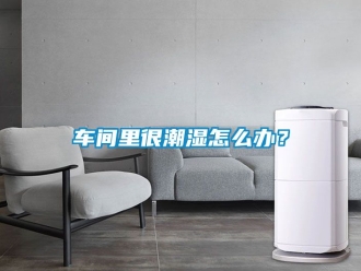 企业新闻车间里很潮湿怎么办？