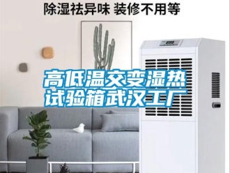 常见问题高低温交变湿热试验箱武汉工厂