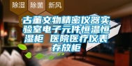 古董文物精密仪器实验室电子元件恒温恒湿柜 医院医疗仪表存放柜