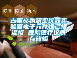 知识百科古董文物精密仪器实验室电子元件恒温恒湿柜 医院医疗仪表存放柜