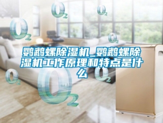 行业新闻鹦鹉螺除湿机_鹦鹉螺除湿机工作原理和特点是什么