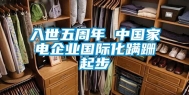入世五周年 中国家电企业国际化蹒跚起步