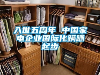 行业新闻入世五周年 中国家电企业国际化蹒跚起步