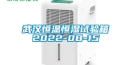 武汉恒温恒湿试验箱2022-08-15