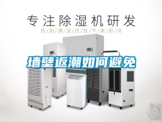 常见问题墙壁返潮如何避免