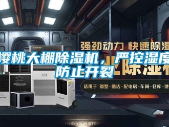 知识百科樱桃大棚除湿机，严控湿度防止开裂