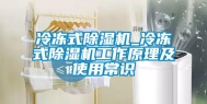 冷冻式除湿机_冷冻式除湿机工作原理及使用常识