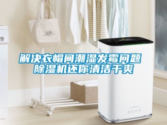 行业新闻解决衣帽间潮湿发霉问题 除湿机还你清洁干爽