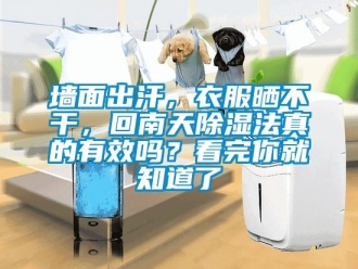 常见问题墙面出汗，衣服晒不干，回南天除湿法真的有效吗？看完你就知道了