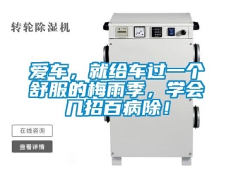 常见问题爱车，就给车过一个舒服的梅雨季，学会几招百病除！