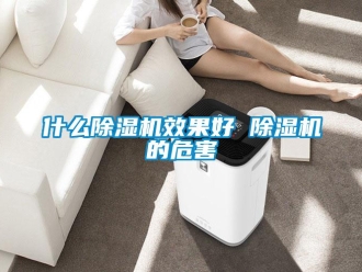 行业新闻什么除湿机效果好 除湿机的危害