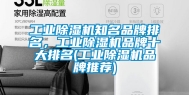 工业除湿机知名品牌排名，工业除湿机品牌十大排名(工业除湿机品牌推荐)