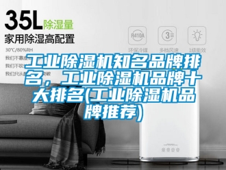 常见问题工业除湿机知名品牌排名，工业除湿机品牌十大排名(工业除湿机品牌推荐)