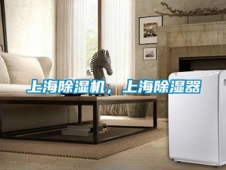 行业新闻上海除湿机，上海除湿器