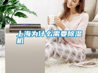 知识百科上海为什么需要除湿机