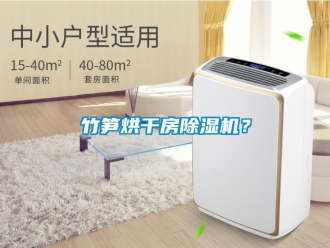 知识百科竹笋烘干房除湿机？
