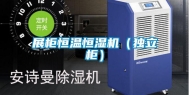 展柜恒温恒湿机（独立柜）
