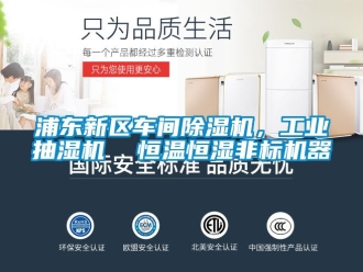 常见问题浦东新区车间除湿机，工业抽湿机  恒温恒湿非标机器