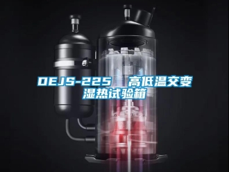 常见问题DEJS-225  高低温交变湿热试验箱