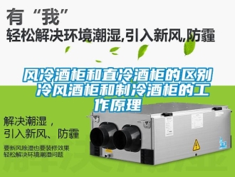 企业新闻风冷酒柜和直冷酒柜的区别 冷风酒柜和制冷酒柜的工作原理