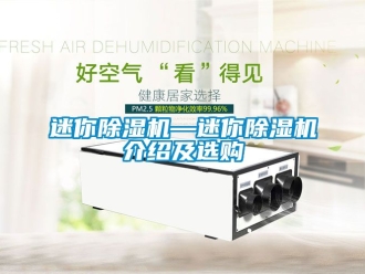 行业新闻迷你除湿机—迷你除湿机介绍及选购