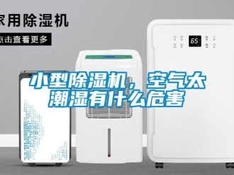行业新闻小型除湿机，空气太潮湿有什么危害
