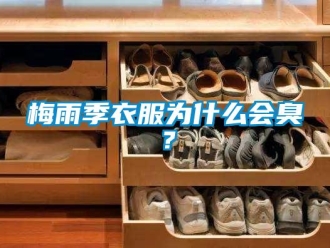 行业新闻梅雨季衣服为什么会臭？