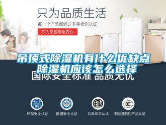 行业新闻吊顶式除湿机有什么优缺点 除湿机应该怎么选择