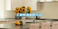 工业除湿机的介绍