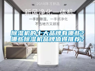 企业新闻除湿机的十大品牌有哪些？哪些除湿机品牌值得推荐？