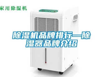 企业新闻除湿机品牌排行—除湿器品牌介绍