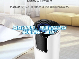知识百科夏日梅雨季，除湿机加储物前来帮你“渡劫”