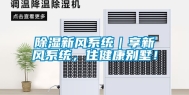 除湿新风系统｜享新风系统，住健康别墅！