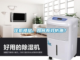 常见问题住低楼层，如何有效防潮？